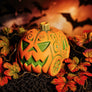 Pumpkin Buggy Mug by Bai