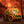 Pumpkin Buggy Mug by Bai